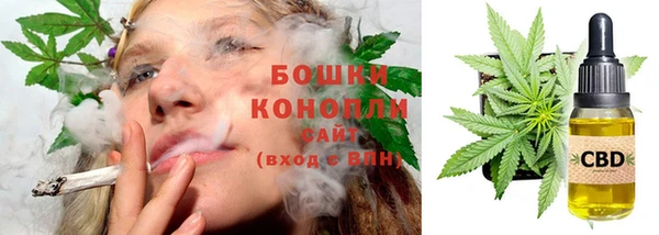 ГАЛЛЮЦИНОГЕННЫЕ ГРИБЫ Аркадак
