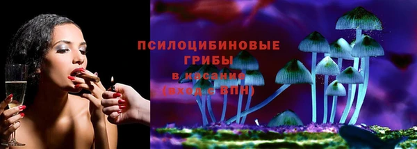 ГАЛЛЮЦИНОГЕННЫЕ ГРИБЫ Аркадак