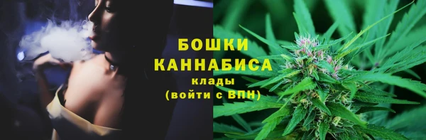ГАЛЛЮЦИНОГЕННЫЕ ГРИБЫ Аркадак