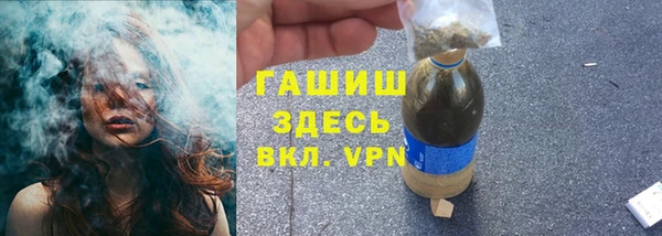 ГАЛЛЮЦИНОГЕННЫЕ ГРИБЫ Аркадак