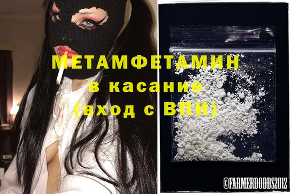 ГАЛЛЮЦИНОГЕННЫЕ ГРИБЫ Аркадак