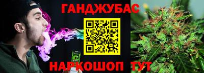 индика Аргун