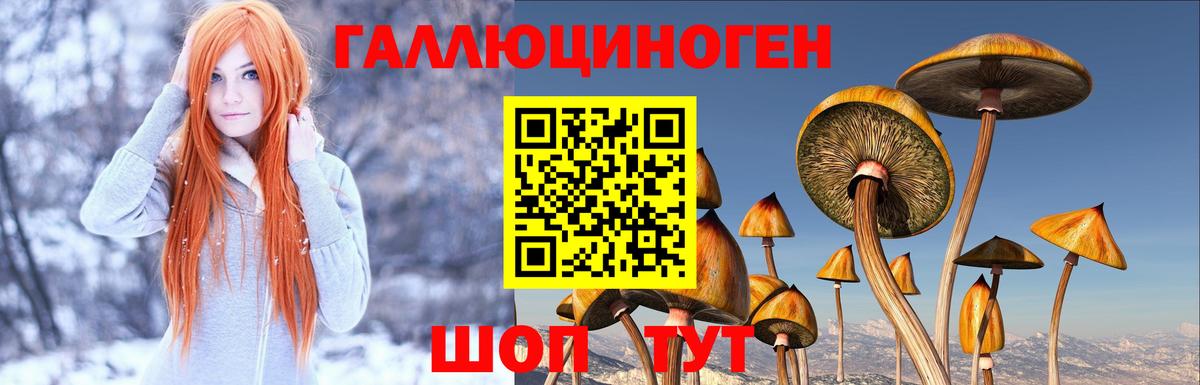 Галлюциногенные грибы MAGIC MUSHROOMS  Вход с VPN  Бор  Галлюциногенные грибы MAGIC MUSHROOMS 